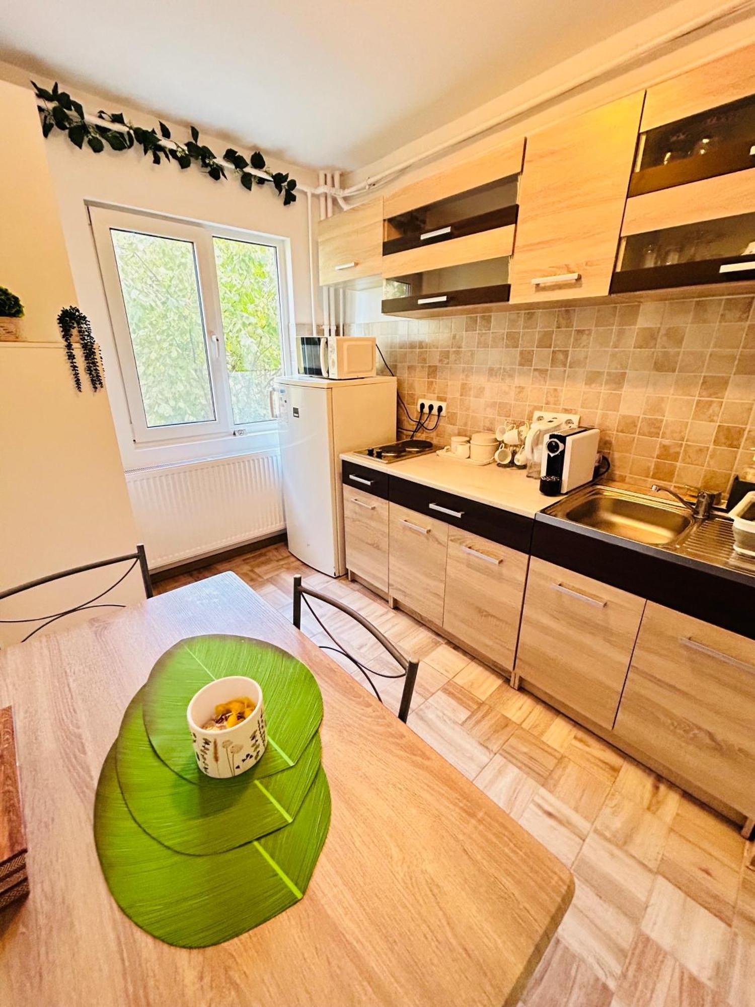 Alisz Apartments Тимишоара Екстериор снимка