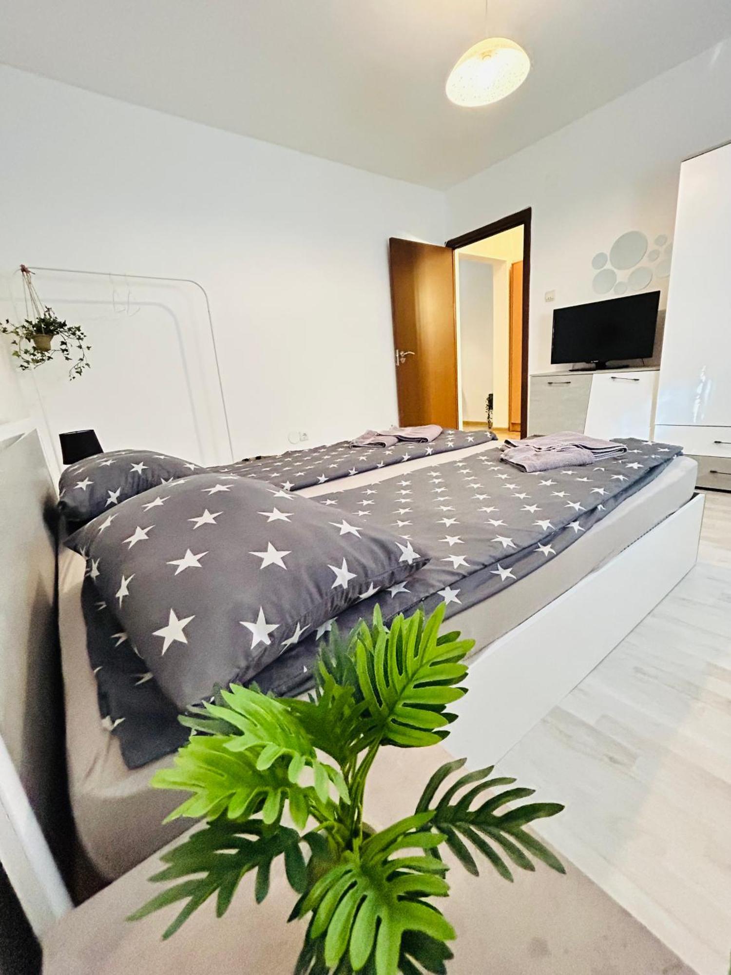 Alisz Apartments Тимишоара Екстериор снимка